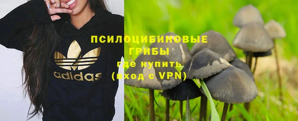амф Вяземский