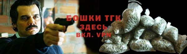 амф Вяземский