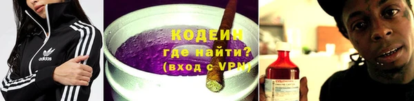амф Вяземский