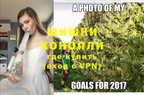 амф Вяземский