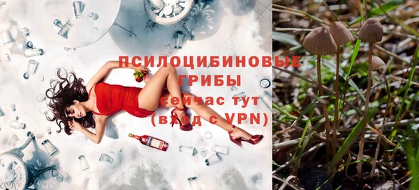 ALPHA PVP Вязники