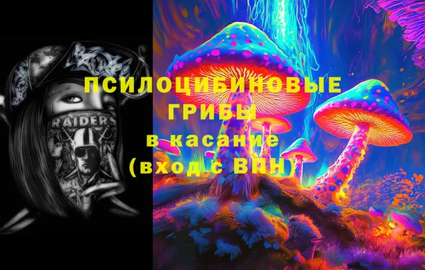амф Вяземский
